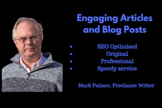 write SEO optimised blog posts and articles
