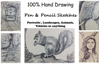 draw any drawing you want using pen and pencils