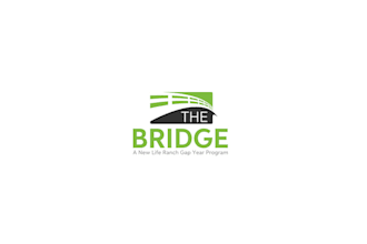 make dynamic original new bridge logo with free revisions
