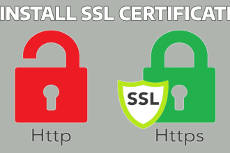 install SSL certificate, fix http errors and wordpress problems