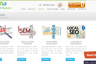 give you SEO, Social media Services