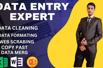 be your excel data engineer I can clean format scrub merge sort split organize,