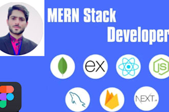 react js, node js, next js,  developer, or mern stack developer
