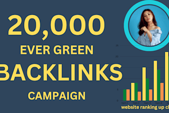 do 20,000  offpage seo backlinks campaign link building