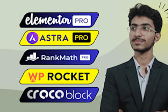 install elementor pro, astra pro, wp rocket, crocoblock on wordpress website