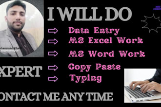 do fast and accurate excel PDF data entry work