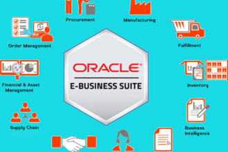 provide oracle ebs techno functional support financial and scm