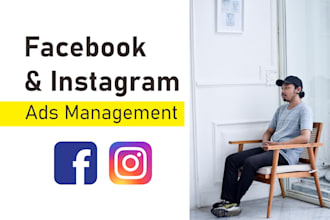 setup and manage your fb and ig ad campaign