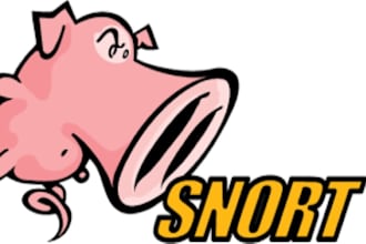 do snort rule writing