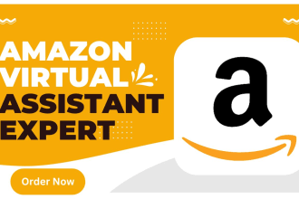 be your expert amazon fba consultant and virtual assistant