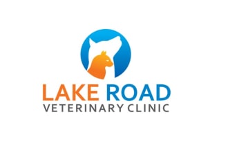 design an awesome veterinary logo within 14 hours