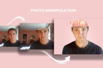 do photoshop manipulation and removal of objects within 24h