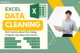 do data cleaning, typing, formatting, analysis, expert convert pdf, json,csv