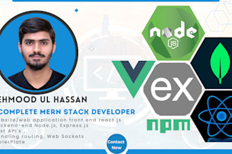 expert web developer mern stack nextjs vuejs