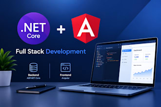 develop asp net core and angular full stack web application