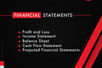 make financial statements, profit and loss, balance sheet, budgets, accounting