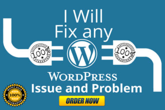 fix your wordpress bug or error in 1 hour