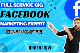 do facebook advertising, marketing, fb ads campaign