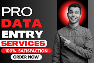 do excel data cleaning, data scraping, data entry, microsoft word for business