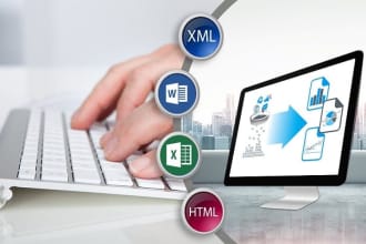 do files conversion, data entry, data related all tasks with complete accuracy