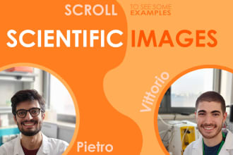create scientific illustrations for pubblication