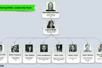 design unique infographics, flowcharts, organization chart in powerpoint