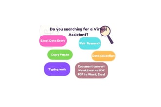do excel data entry, web research, copy past for you