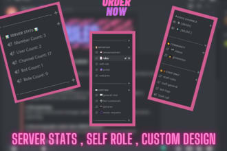 setup new and existing discord server for you in 24 hours