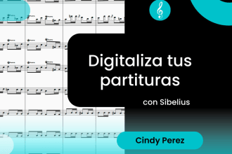 transcribe your sheet music into sibelius, midi, pdf, etc