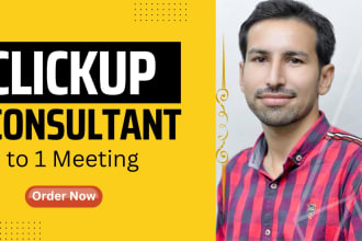 be your clickup admin and consultant