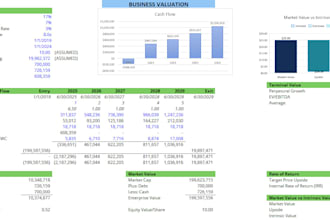 do a startup business valuation and financial analysis