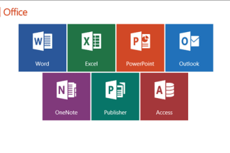 provide professional services for ms office suit