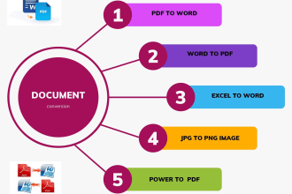 do pdf to word and word to pdf  document conversion for you