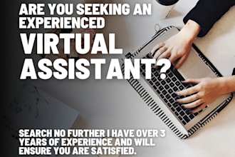 provide professional virtual assistance service