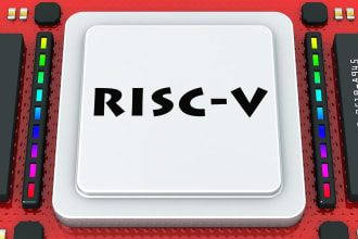 solve risc v , computer architecture projects and do programming