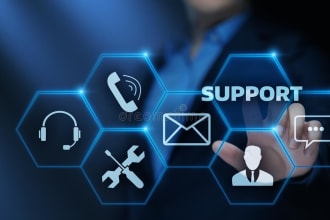 provide hardware and software support to you
