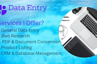 provide efficient data entry web research, and excel task