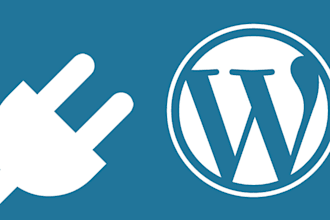 help you with your wordpress website, customize website, fix