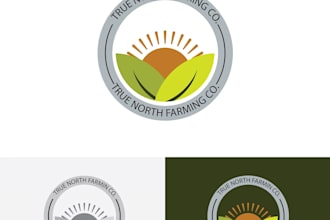 create a versatile unique professional logo design
