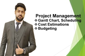 do planning and cost control, project management services