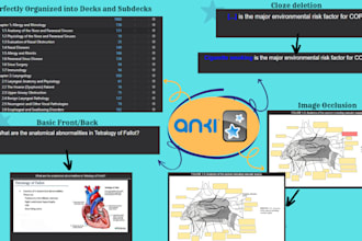 make 100 intelligent anki flashcards for 10usd fast