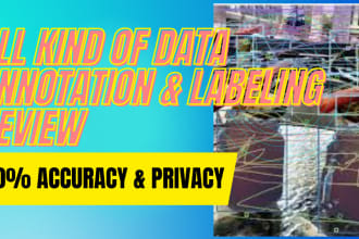 do data labeling review and perfect text, image label