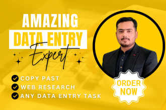 do excel data entry work, copy paste, wordpress data entry