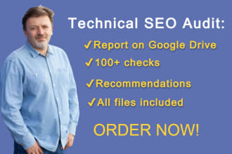 do a professional technical SEO audit of your website