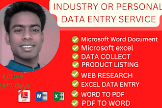 provide supper fast service in microsoft word and excel