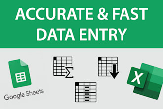 proficiently perform data entry to excel sheets