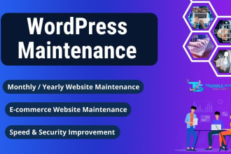 assist maintenance wordpress website