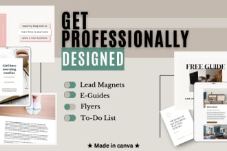 design modern and compelling lead magnet, pdf guide in canva
