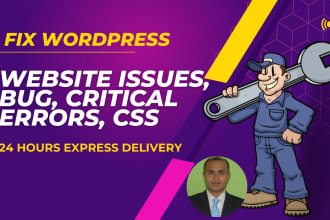 help to fix wordpress website issues bug critical errors CSS