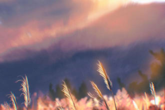 paint backgrounds and landscapes for posters or wallpapers